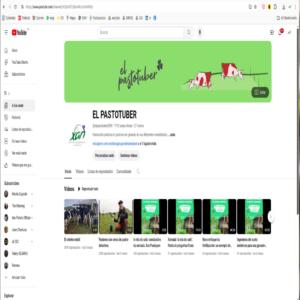 Videos formativos
