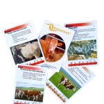 Xogo de cartas "Bovino"