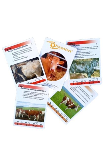 IMG_20250904_202618-removebg-preview