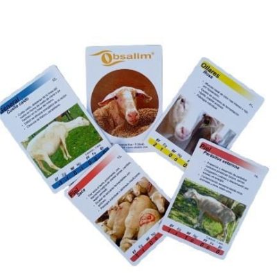 IMG_20250904_202755-removebg-preview