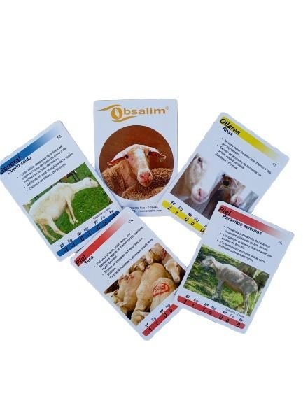 IMG_20250904_202755-removebg-preview