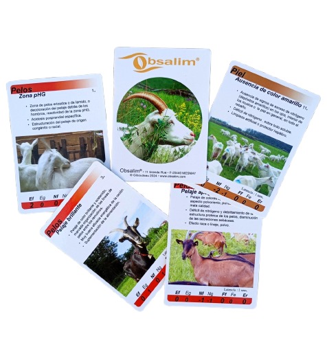 IMG_20250904_203034-removebg-preview