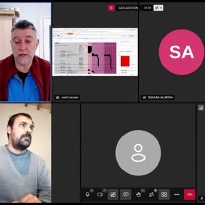 Webinars realizados