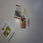 cartas cabras