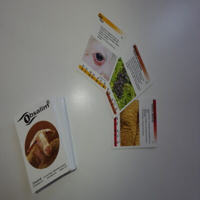 cartas ovellas