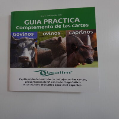 guia practica